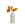 Medium1