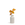 Small