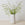 Chalk https://cdn.shopify.com/s/files/1/0324/8750/5965/files/MW_Pitcher_chalk_cde75c4c-f6d3-4f6f-9726-7cbd2e6de833.mp4?v=1634722750
